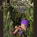 Hanging Moss Forest Green Props HAMMOCK. Baby Newborn Sling Baby Fringe Blanket Infant Photo Prop Newborn Sling 'Verdant'