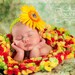 Sandy Puc Photos of my Photo Prop Infant Baby Colorful Mini Blanket Prop. 2x2 'Cirque' Photography Prop Rug