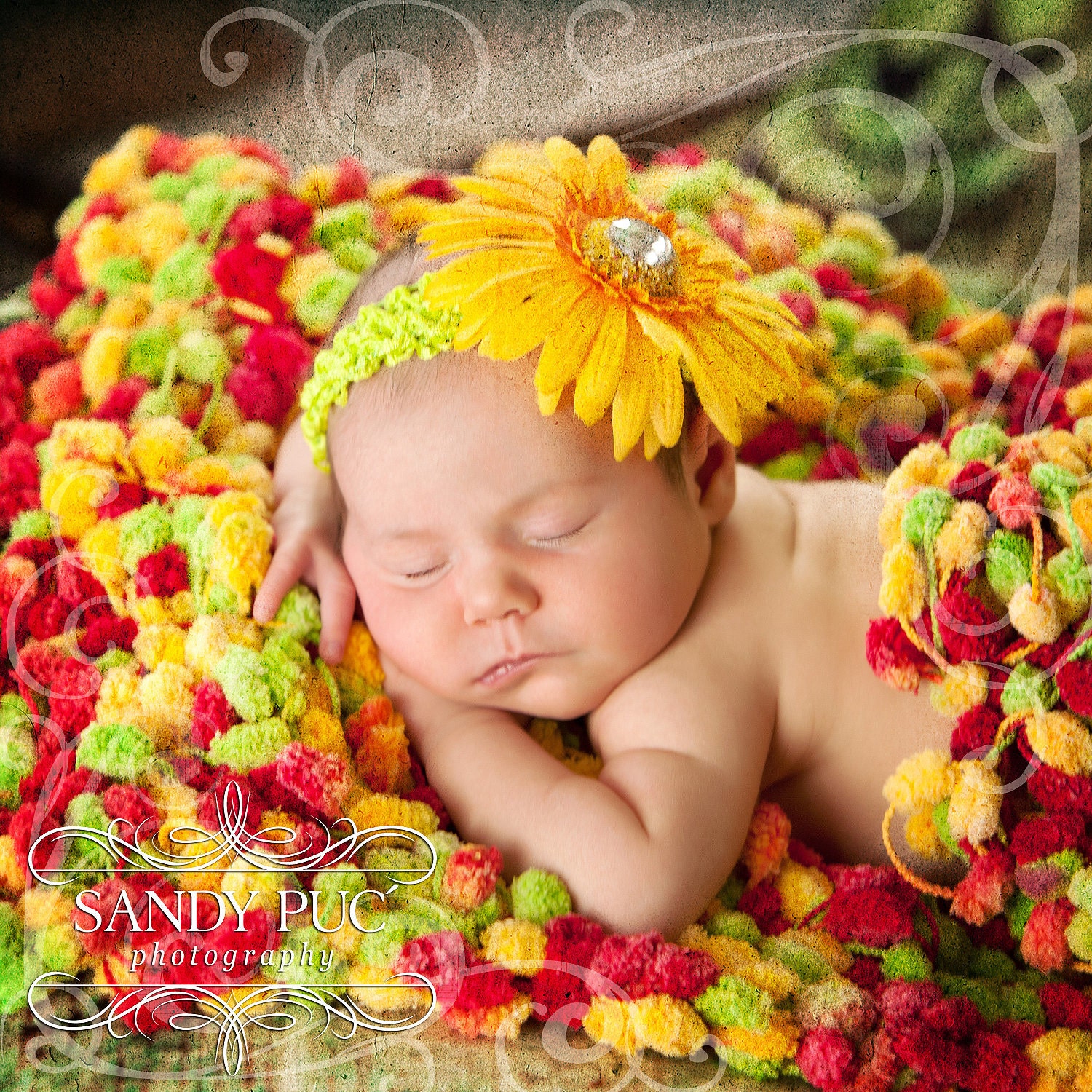 Sandy Puc Photos of my Photo Prop Infant Baby Colorful Mini Blanket Prop. 2x2 'Cirque' Photography Prop Rug