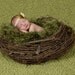 Photo Prop 'Grass' Patch Baby Blanket Photo Props. Green Patch of Grass 2x2 Rug