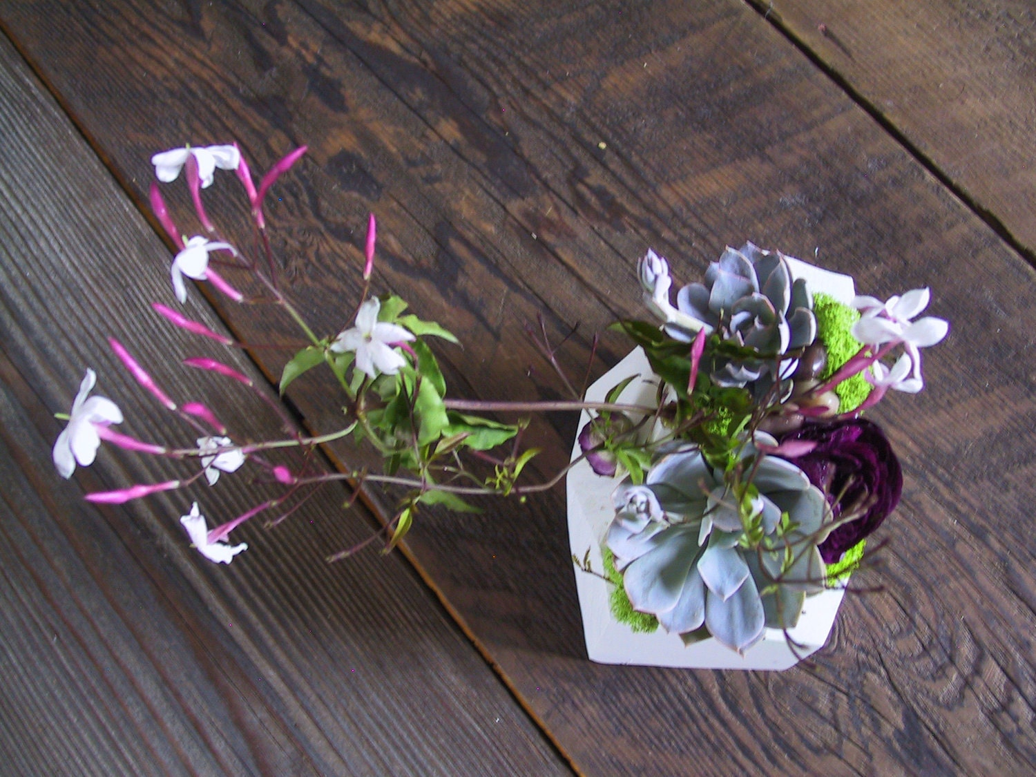 Sculptural Wood Planters size Medium