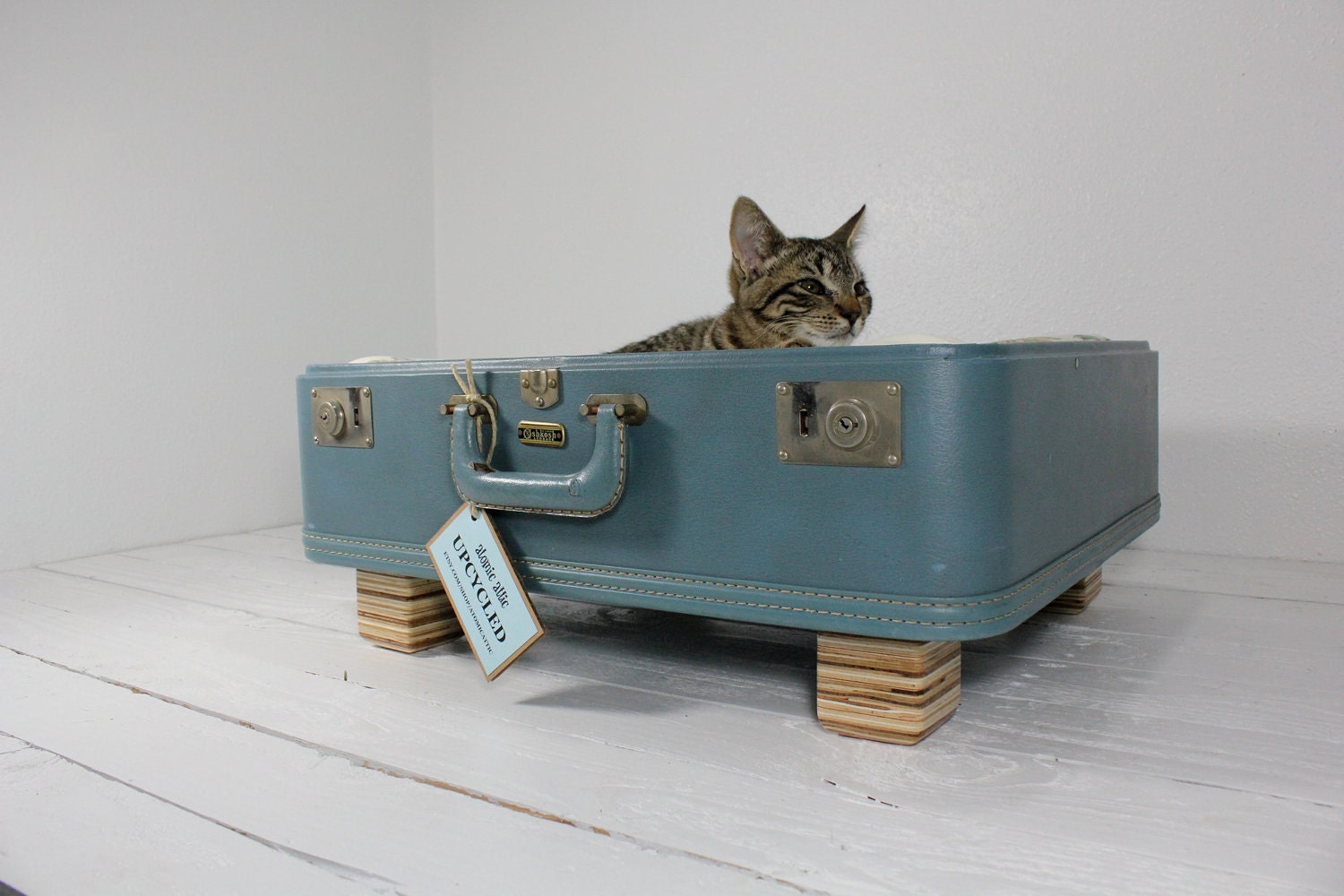 Upcycled Suitcase Pet Bed in Blue
