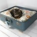 Upcycled Suitcase Pet Bed in Blue