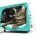Upcycled Vintage General Electric TV Pet Bed