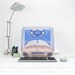Upcycled Apple Computer Pet Bed - iMac - "Think different"