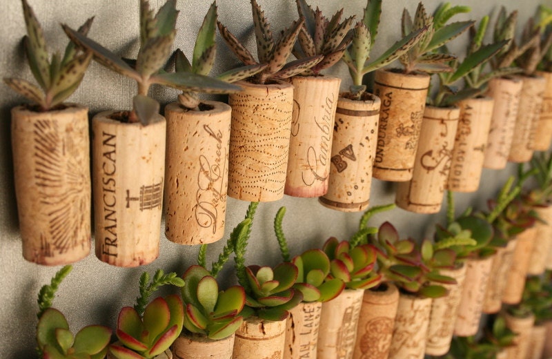 CUSTOM Order for Courtney Succulent Cork Magnets