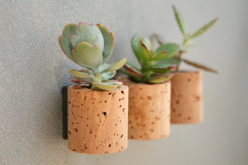 Mini Cork Magnets, Mixed Set of 3