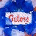 Florida Gators, Poly Mesh Wreath, College Football, Sports Fans, FL Gators, Sports Decor, Door Wreath - Item 520