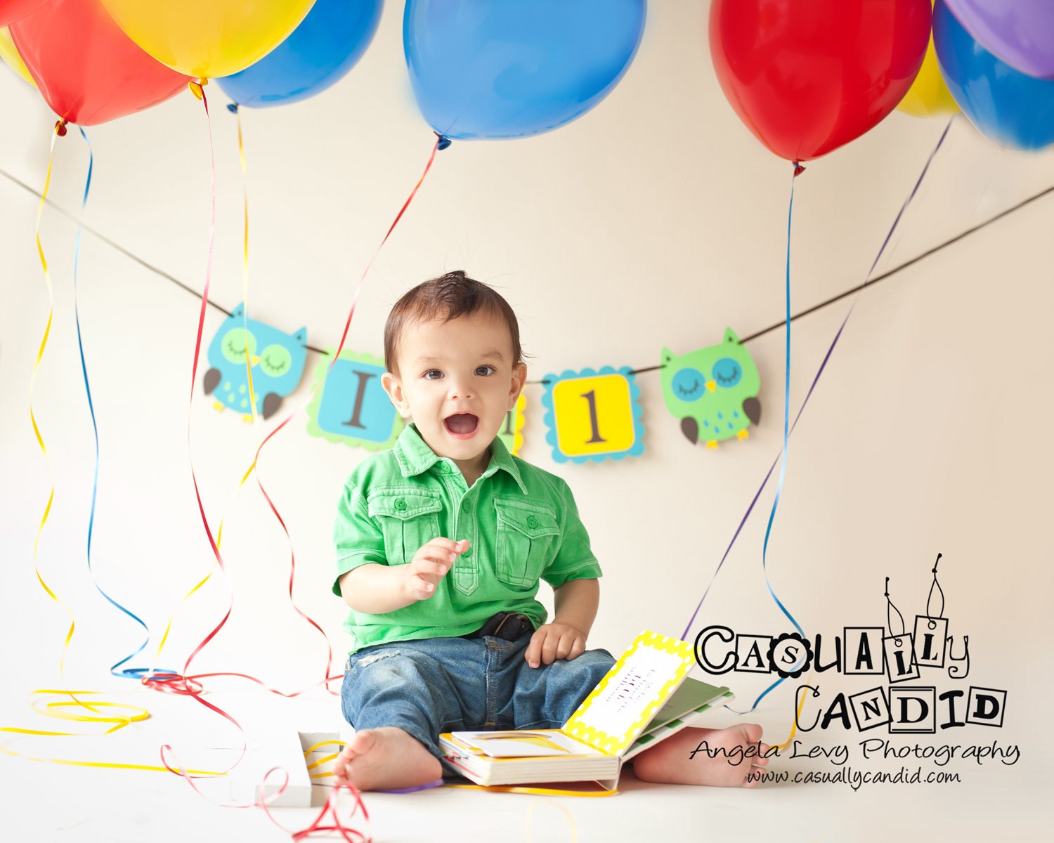 OWL birthday banner,  I AM 1 banner, photo prop, photography prop, BOY birthday. first birthday. owl decorations, owl birthday. owl theme