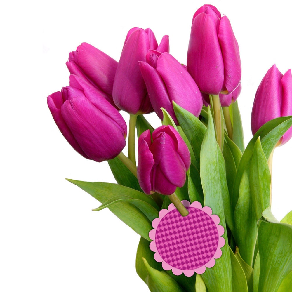 Pink gift tag