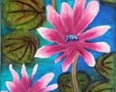 Pink Padma- The Lotus