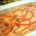 Octopus Drinking Tea, 8x10 print