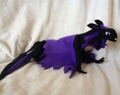 Frilled Dragon