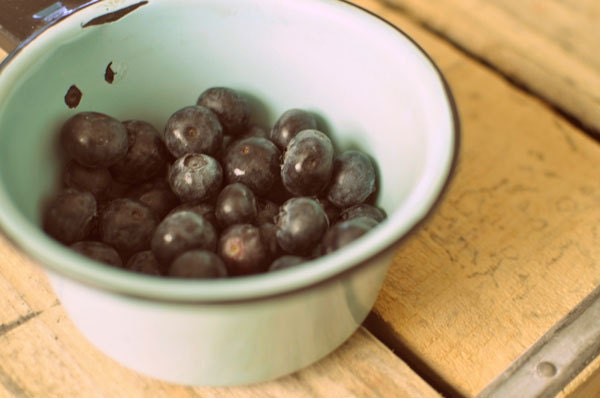 Berries in Blue - Fine Art Photograph 4 x 6