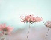 SALE Shabby Chic Decor, Pastel Wall Art, Spring Home Decor, Easter, Turquise, Pink, Floral, Nature Photography, Floral Wall Art