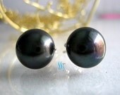 Black Pearl Earrings - AAA 9.5-10.0mm Black Freshwater Pearl Stud Earrings - Free shipping