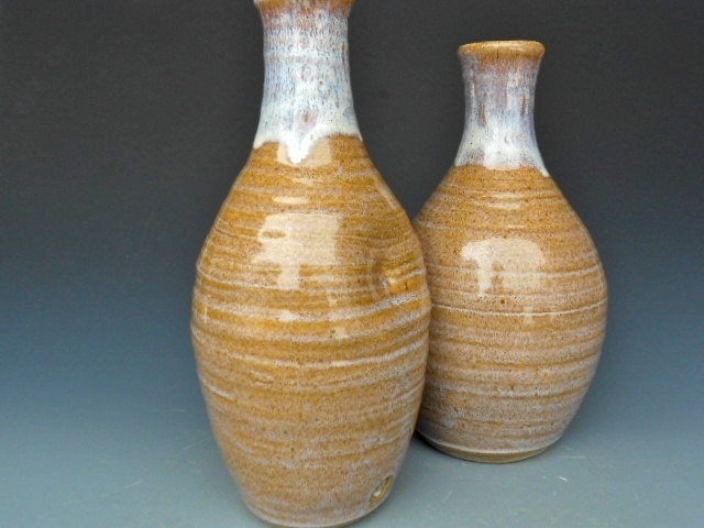 Pair of Bottle Vases