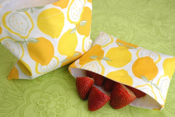 Reusable Sandwich and Snack Sack Kit in Juicy by Alexander Henry FREE SHIPPING