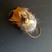 Creativity Abundance Spirit Stone Citrine Pheasant Feathers