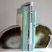 Set of Agate Bookends - Brown and White