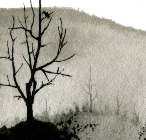 Far - Original Ink Drawing