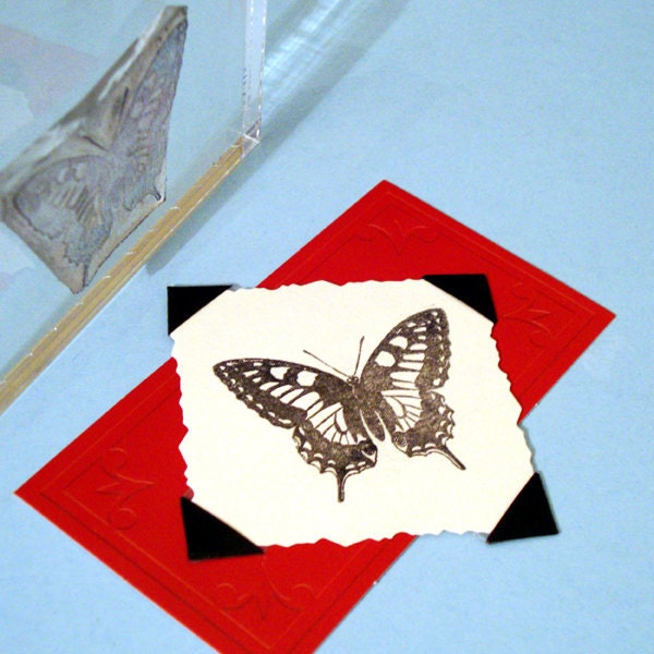 Beautiful Butterfly Clear Polymer Rubber Stamp