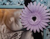 Purple Daisy Headband