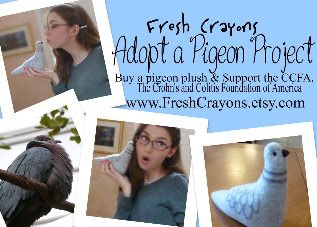 Adopt a Strawberry Plush - Profits to the CCFA