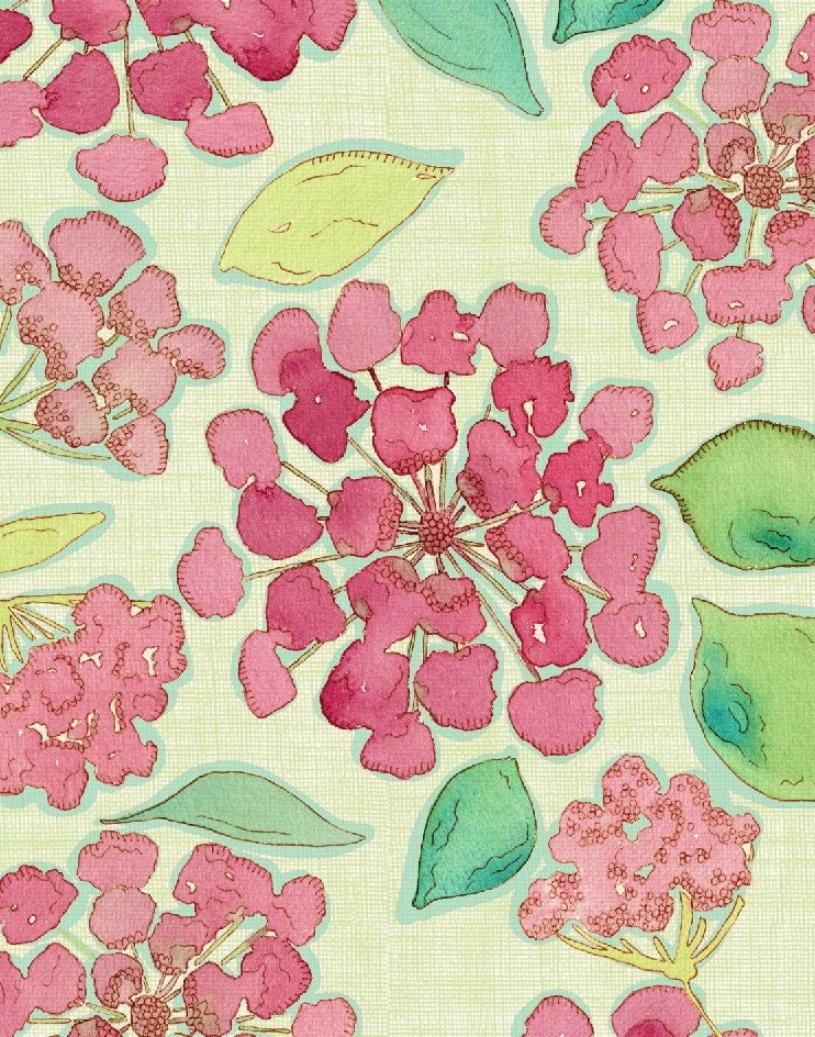 Watercolor Art Illustration Print Sweet Hydrangea Raspberry