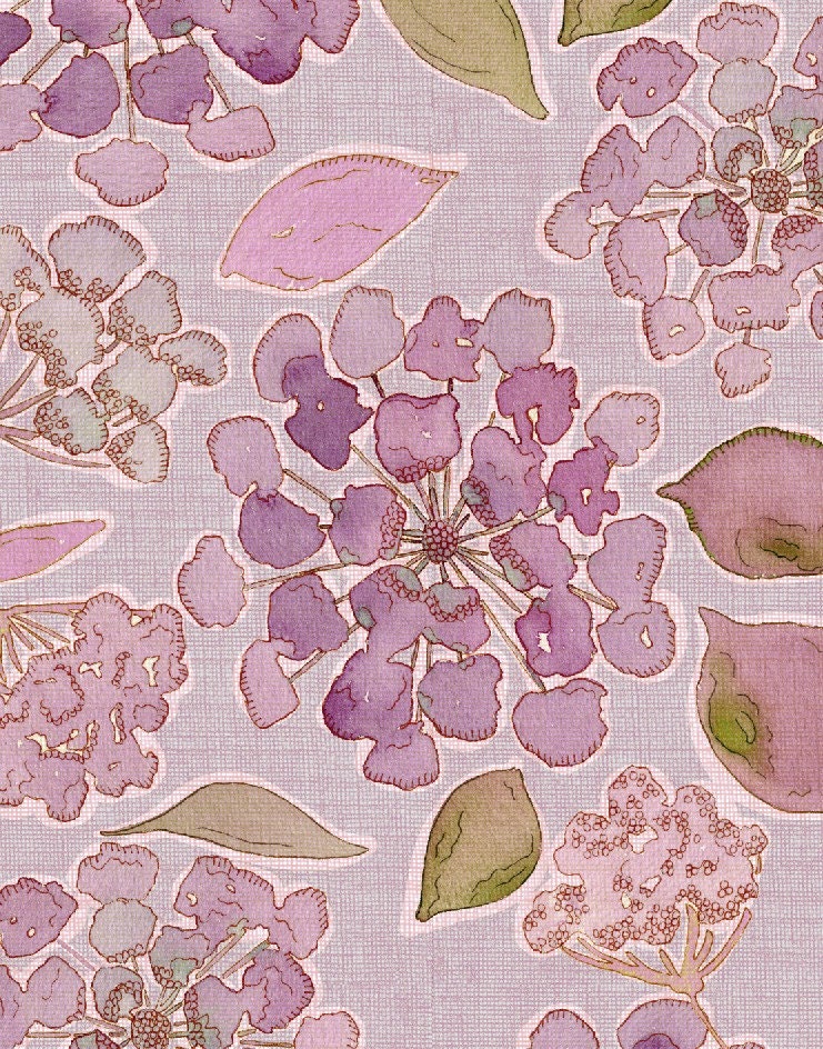Watercolor Art Illustration Print Sweet Hydrangea Raspberry