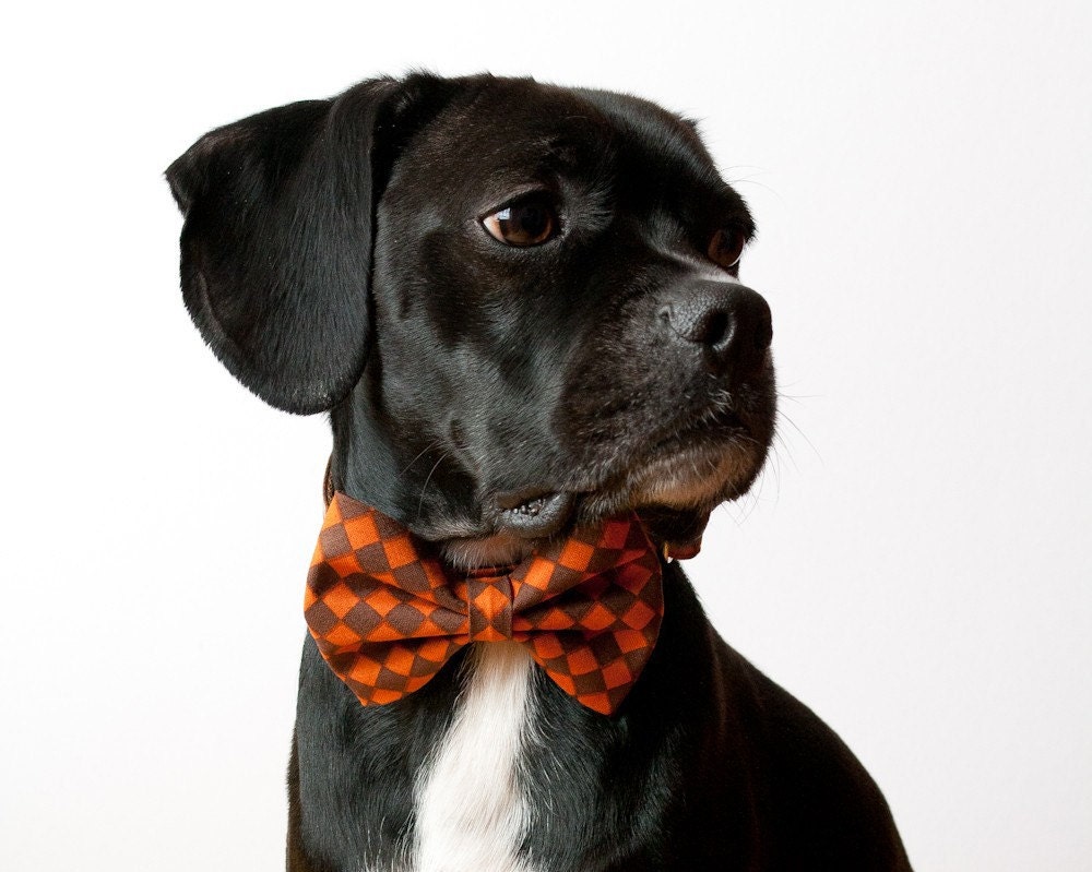 Pumpkin Checks Bow tie Dog Collar