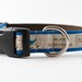 We Are Close Friends Dog Collar