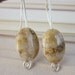 Fossilized coral earrings - Latte swirl