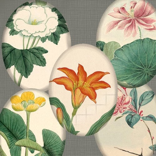 Digital Collages: 40mm X 30mm Large Oval Cabochon Size Vintage Asian Flowers 20  Different Images CS 54