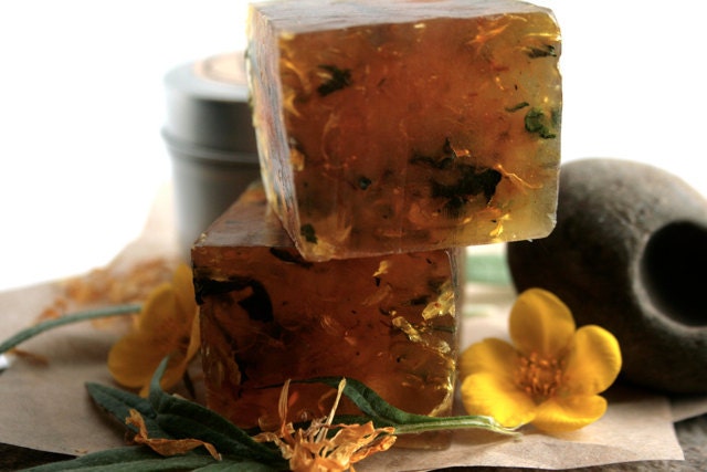 Camp Soap - With natural bug repelling herbs