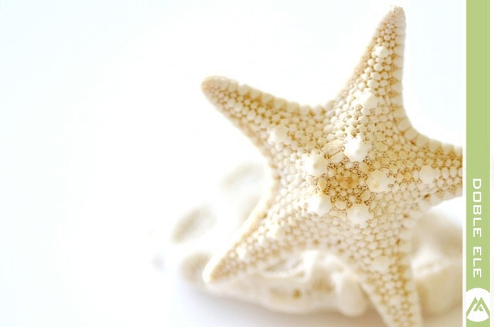 Starfish Ring