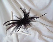 Hackle and Biot Arrangement - Chocolate