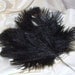 Free shipping for march -Ostrich Feather Fan - Black