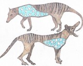 Thylacines