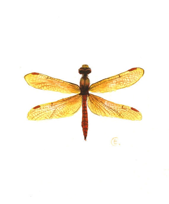 Dragonfly 2 - Original Watercolor Painting - signed - 8x11 inch