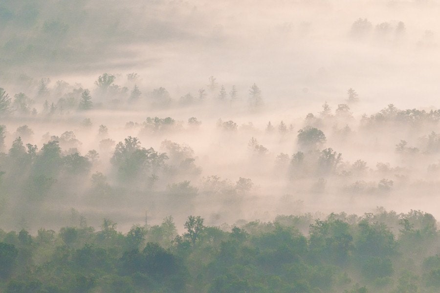 Photograph - Fog in the Valley - 8 x 12 Wall Art - BillSwindamanPhoto