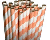 Stripe Light Orange Party Paper Straws - Cake Pop Sticks - Pixie Sticks - Qty 25 Il_170x135