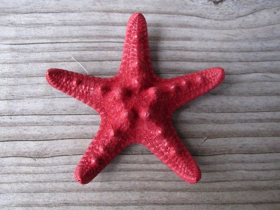 RED knobby starfish bobby pin HAIR clip