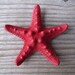 RED knobby starfish bobby pin HAIR clip