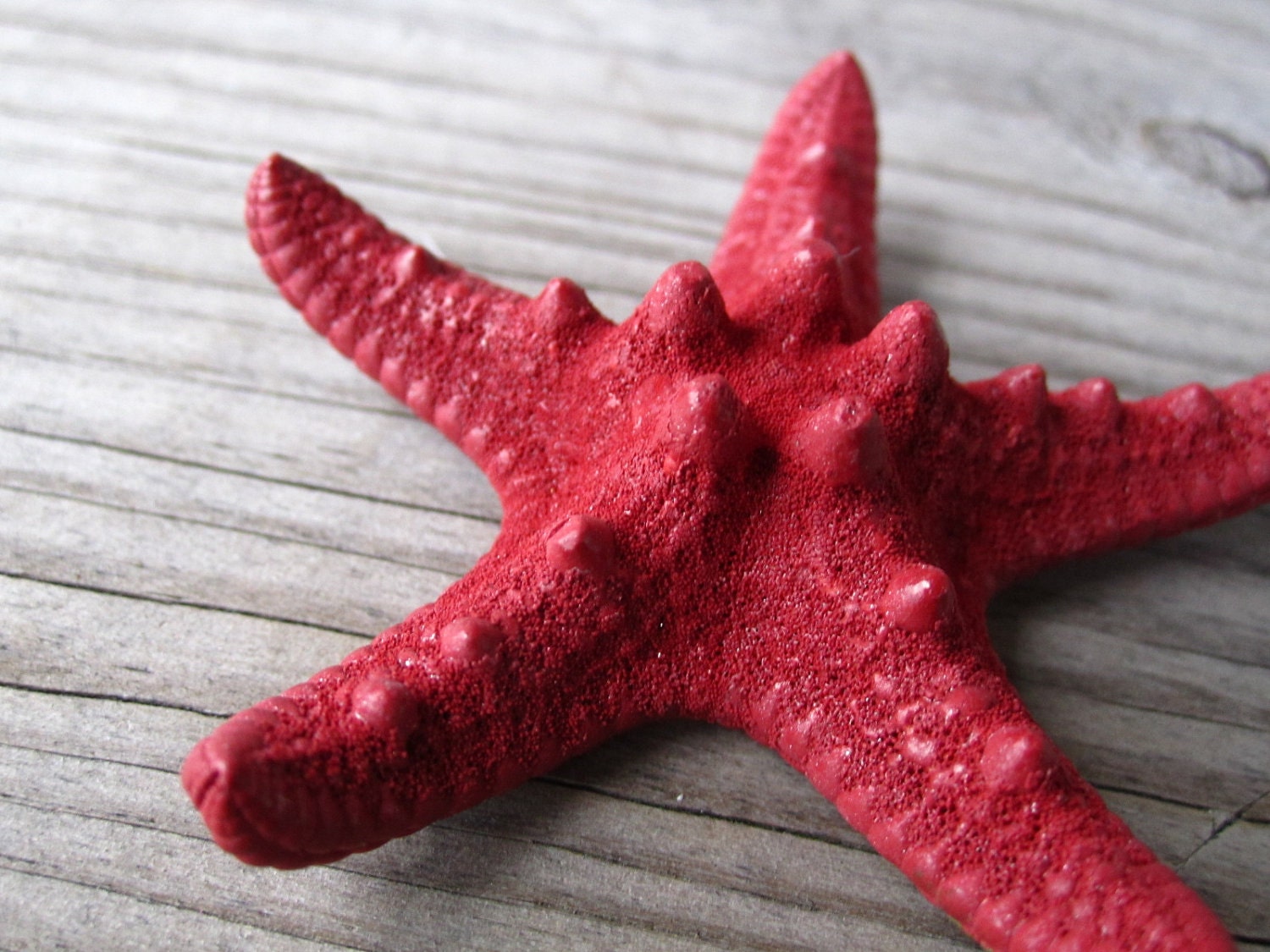 RED knobby starfish bobby pin HAIR clip