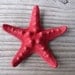 RED knobby starfish bobby pin HAIR clip