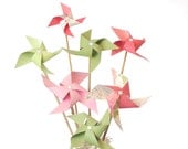 Raspberry Pistachio Pinwheel Bouquet