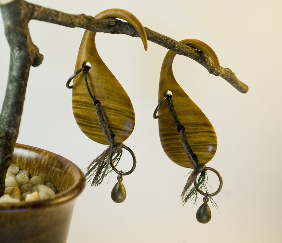 4g Organic Wood Fiber and Brass Gauged Earrings Plugs - BUTTERNUT SQUASH
