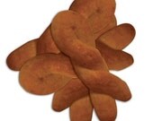Biscotti Papa (Biscuit Cookies)