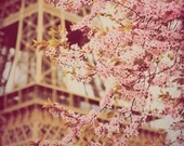 Paris in Bloom - 4x4 fine art Paris photo print